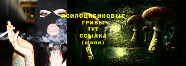 apvp Алексин