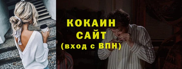 apvp Алексин