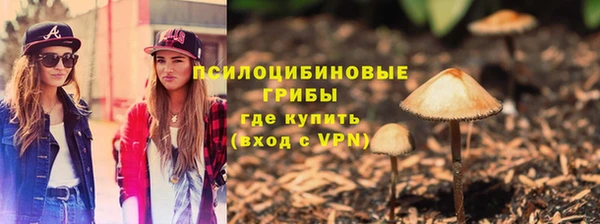 apvp Алексин