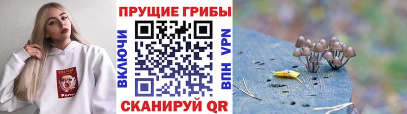 Галлюциногенные грибы Magic Shrooms  Ижевск 